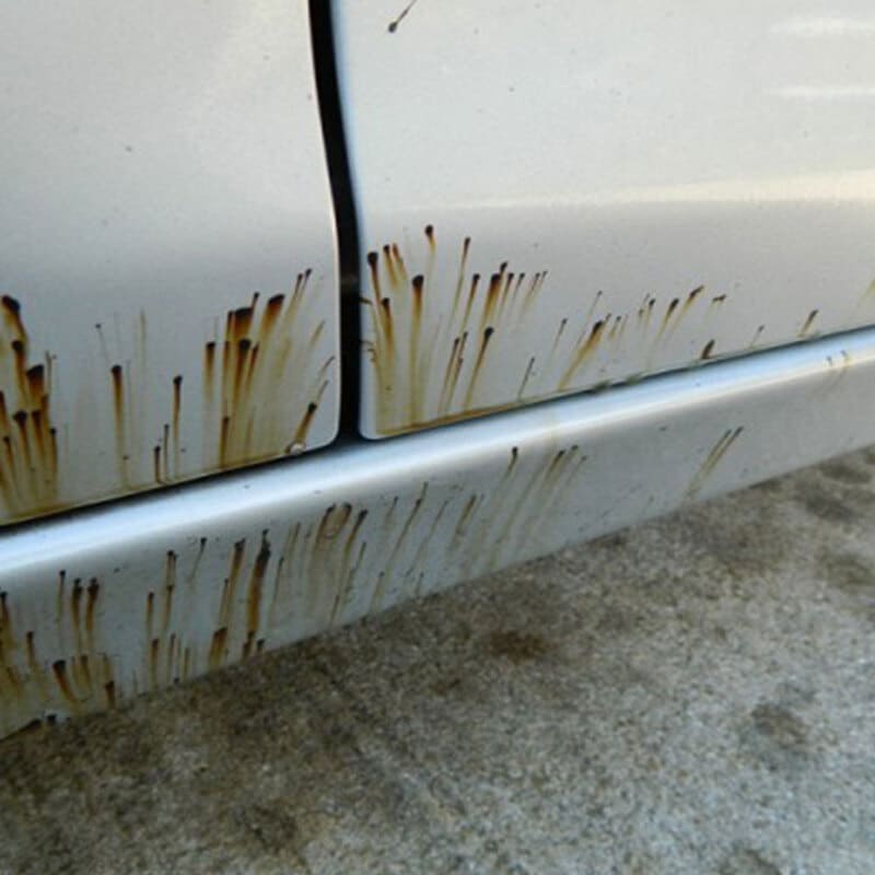 tar and glue