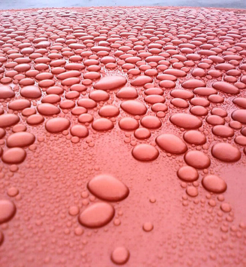 Nerta Brilliant Polish Finish. 25l