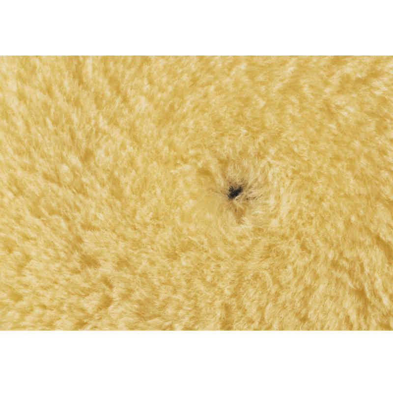 Rupes Lana de Corte Medio para Máquina Roto Orbitales Movimiento Forzado y Triple Acción Medium (Serie M)